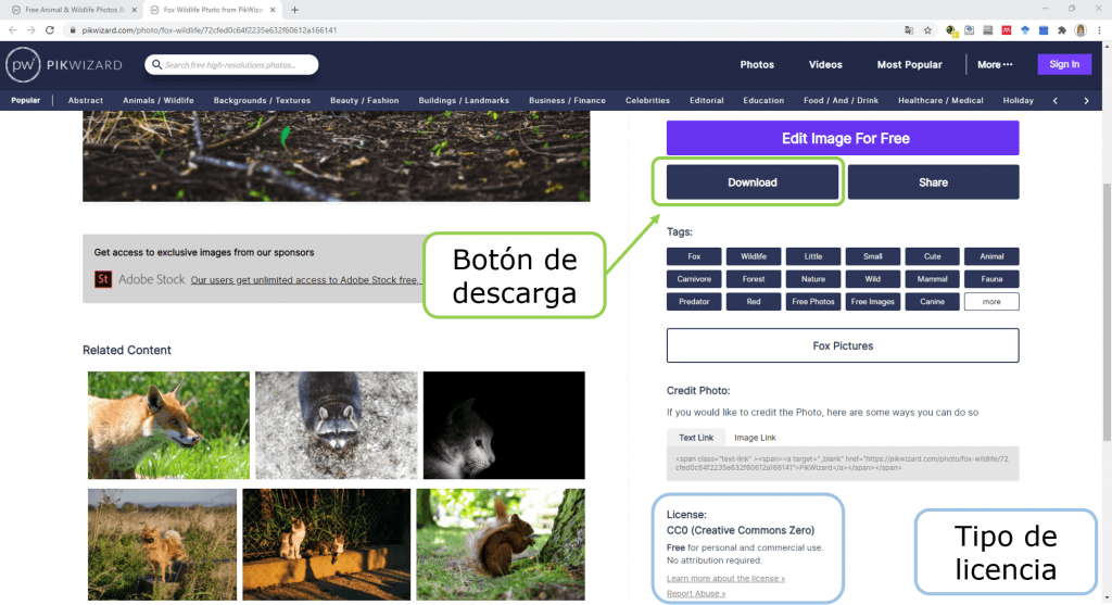 pagina de descarga de pikwizard