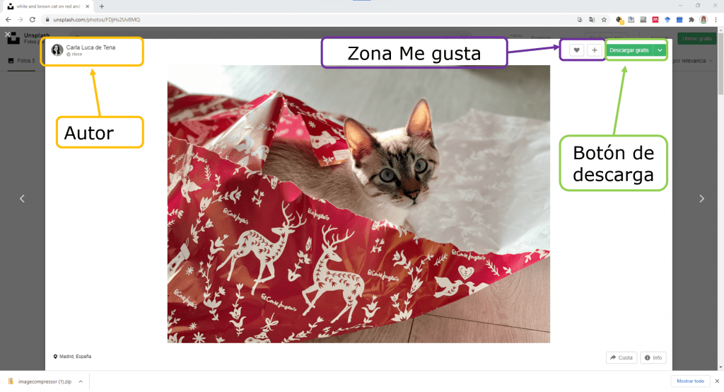 pagina de descarga de imágenes gratutias en unsplash