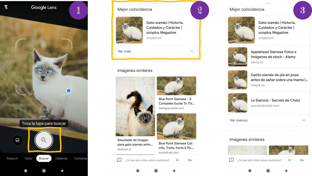 Búsqueda de imagen usando Google Lens
