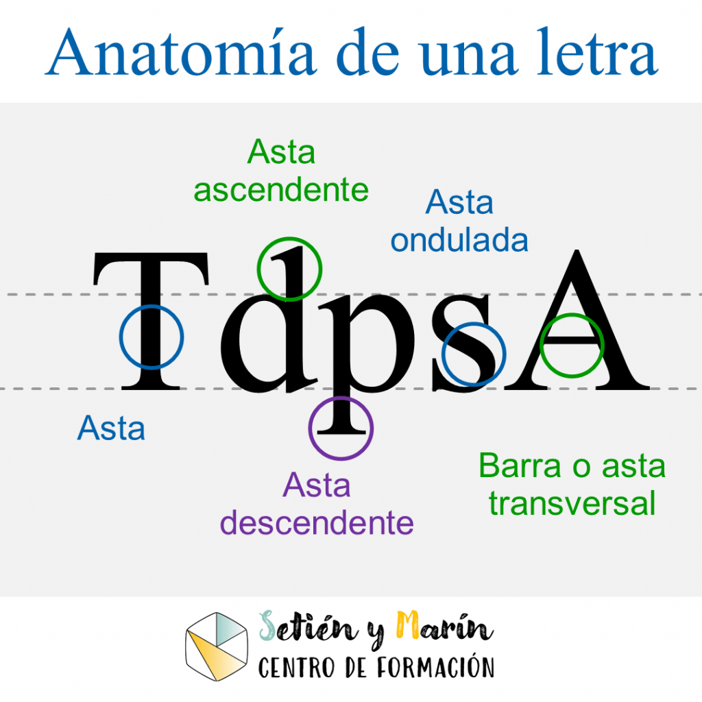 Tipografía: anatomía de una letra. Que es el asta, el asta ascendente, el asta descendente, el asta ondulada y la barra o asta transversal.