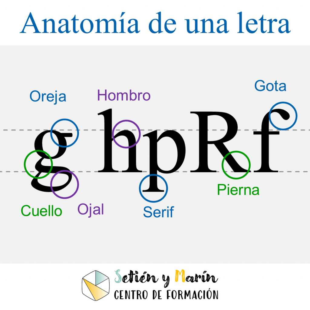 Tipografía: anatomía de una letra. Qué es la oreja, hombre, gota, cuello, ojal, serif y pierna.