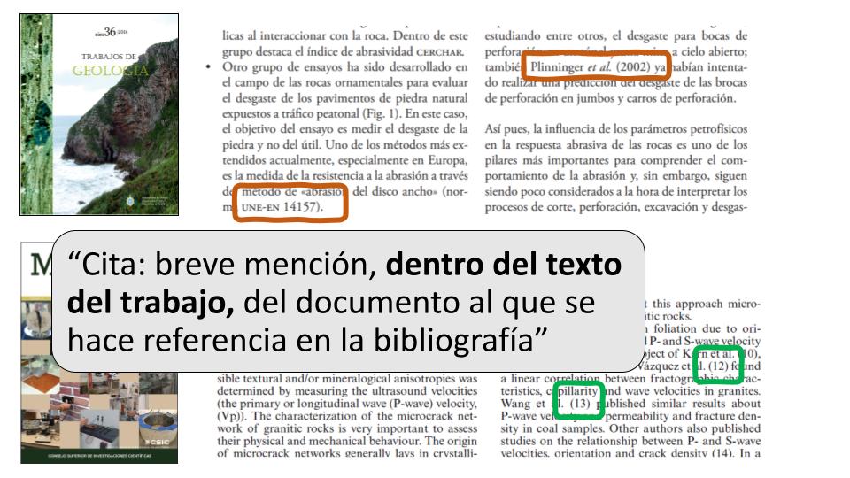 cita apa: definición del término cita