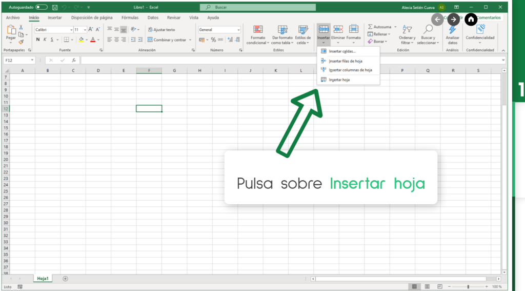 Trabajar con hojas. Insertar hoja