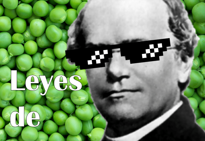 Biología, Leyes de Mendel