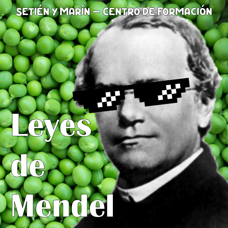 Biología, Leyes de Mendel
