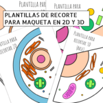 Células vegetal y animal